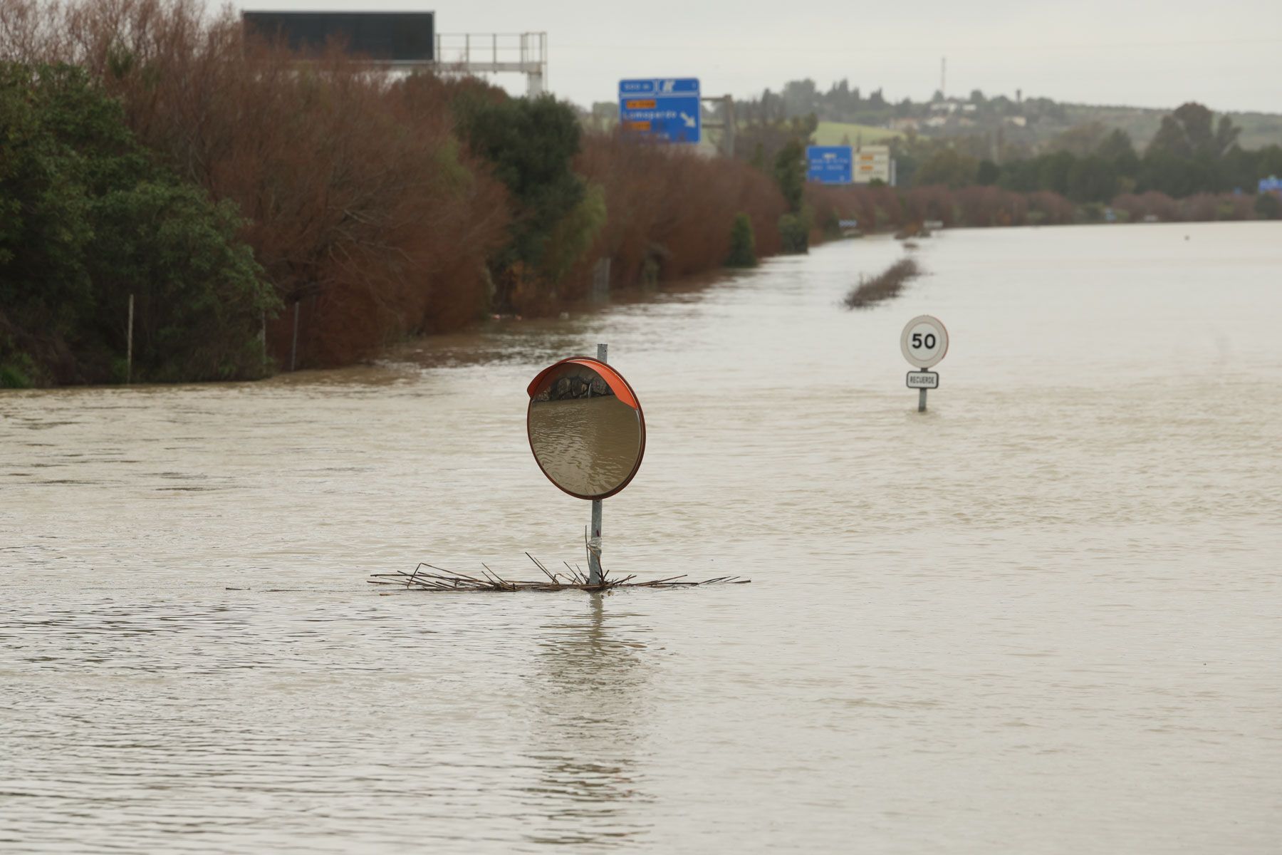 Las inundaciones en Jerez durante la crecida del Guadalete.
