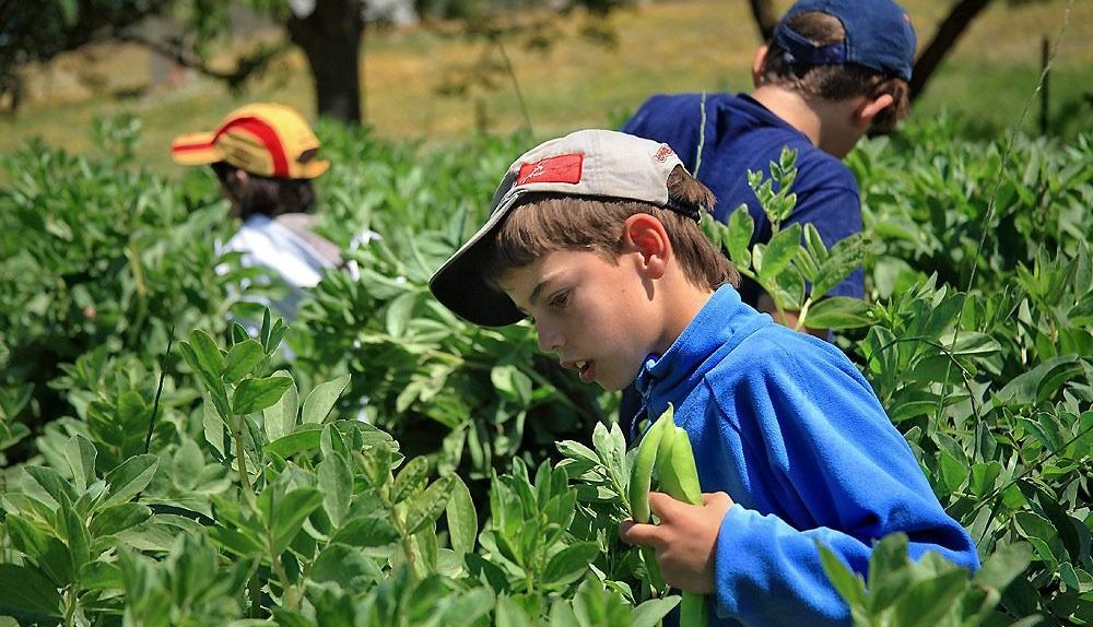 Los pequeños conocen de cerca las distintas especies.