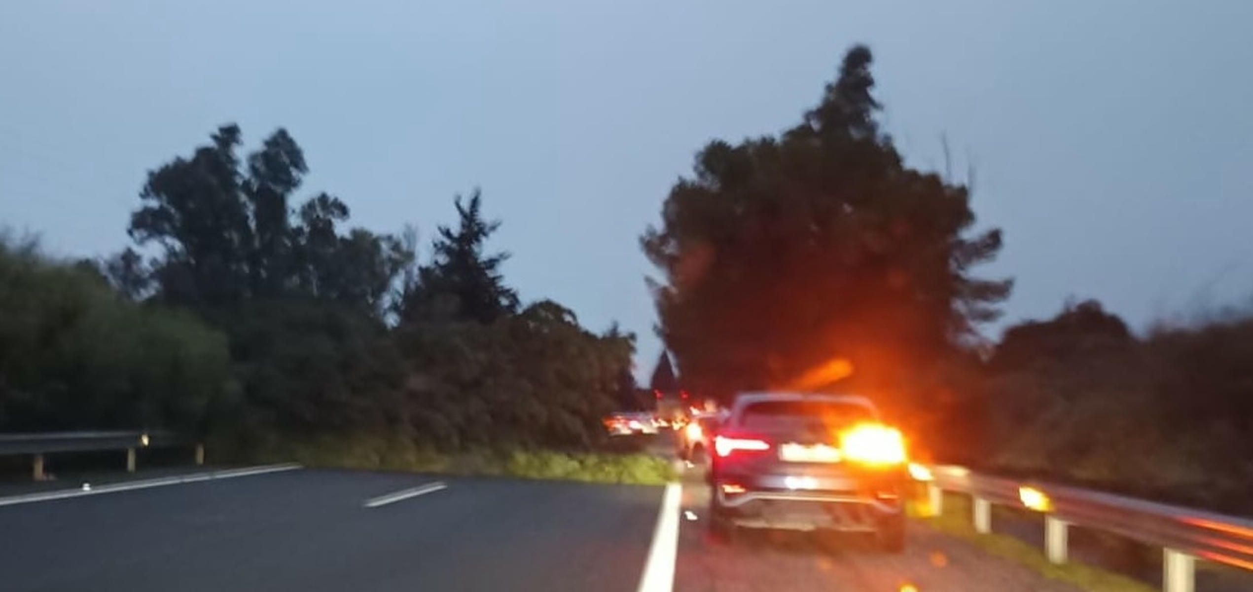 Un árbol caído sobre la AP.4, este lunes a primera hora.