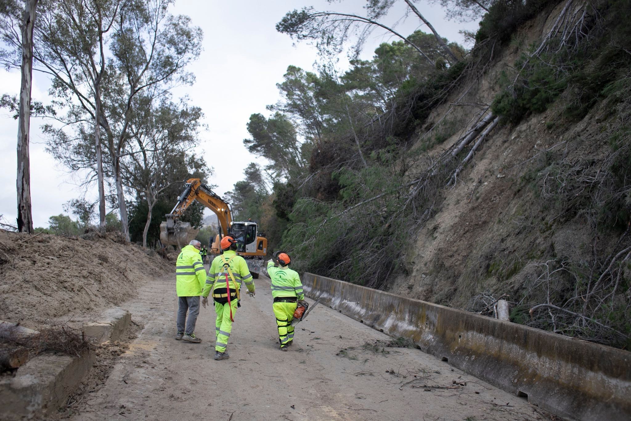 Trabajos en la carretera de Grazalema. Trabajos en la carretera de Grazalema.