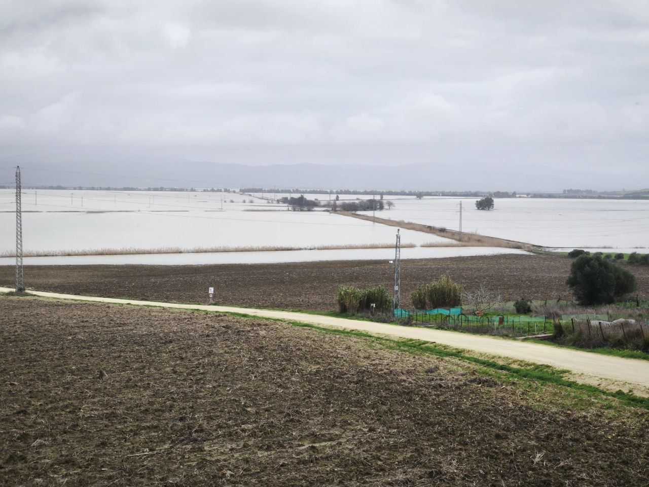 Estado de las lagunas de La Janda.