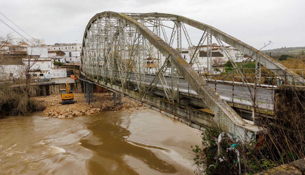 Puente de Hierro de Arcos 05