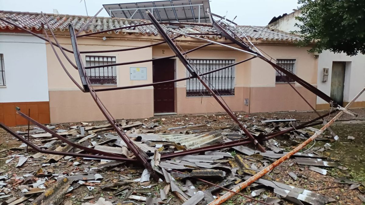 WhatsApp Image 2026 02 02 at 12.49.53