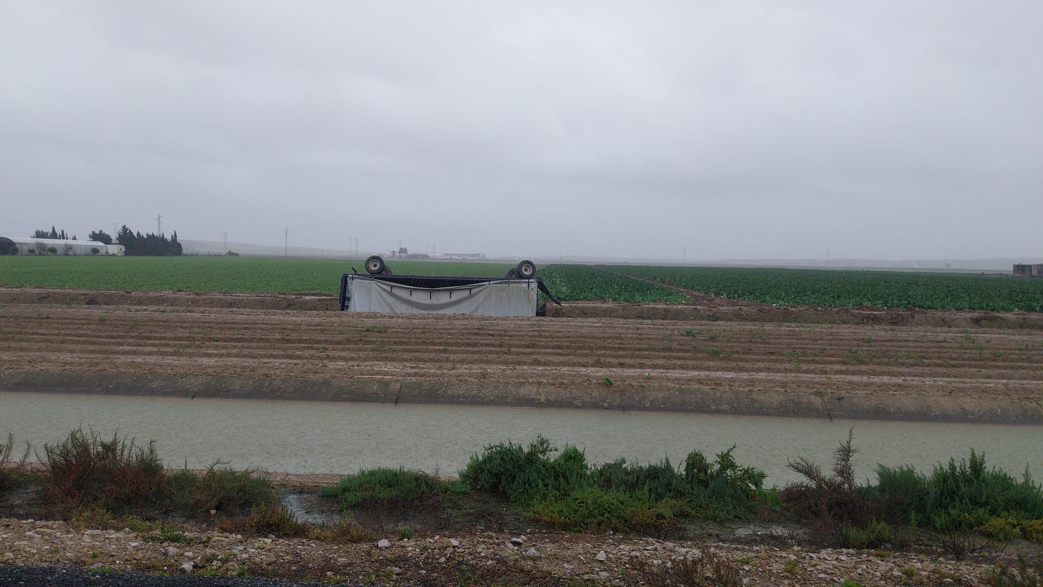 Maquinaria volcada por todas las marismas del Bajo Guadalquivir ha sido una constante en la mañana de este lunes. Maquinaria volcada por todas las marismas del Bajo Guadalquivir ha sido una constante en la mañana de este lunes.