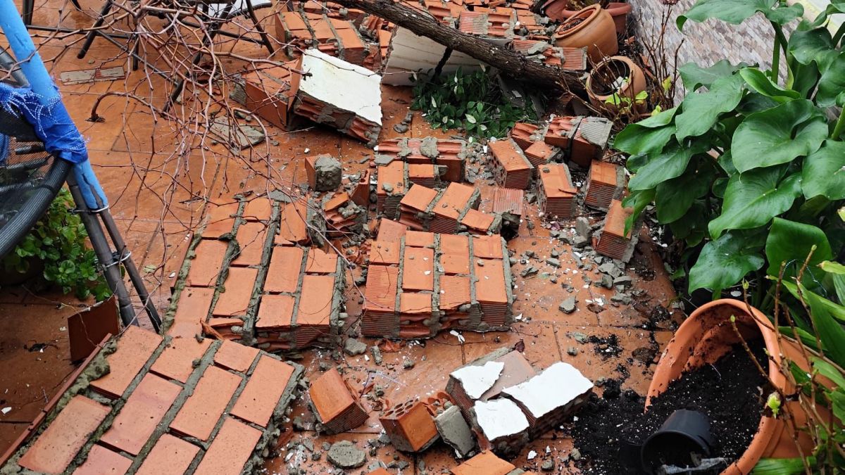 WhatsApp Image 2026 02 02 at 14.54.25