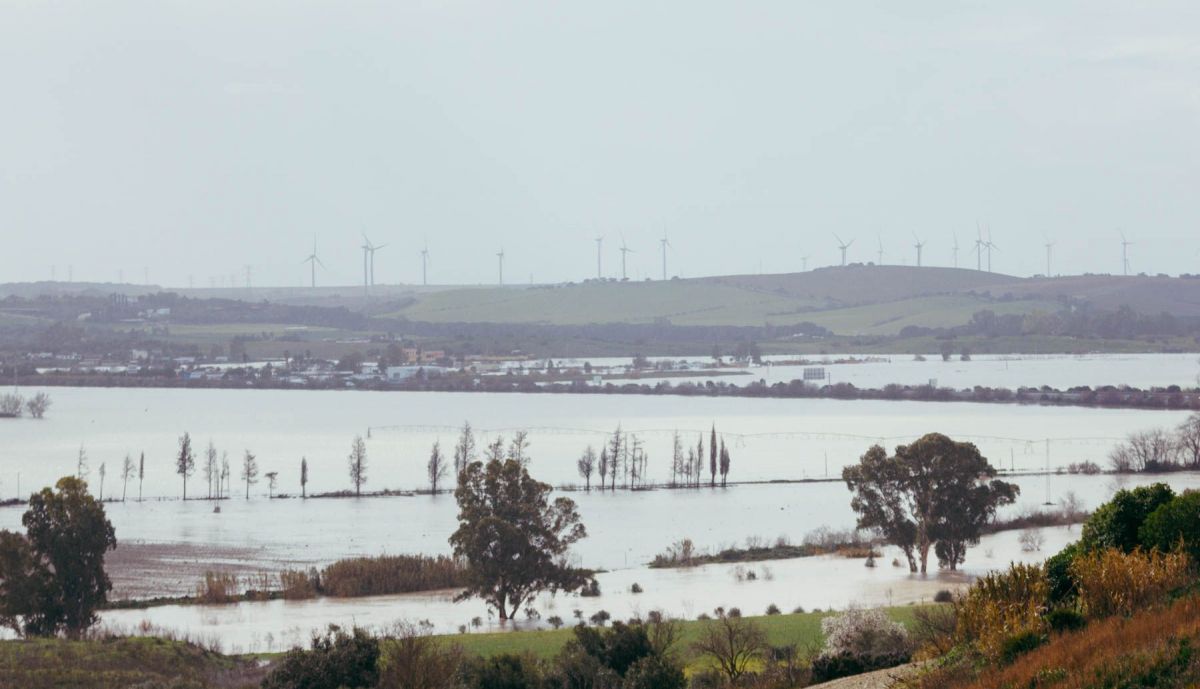 GUADALETE INUNDACIONES FEBRERO 2026 19