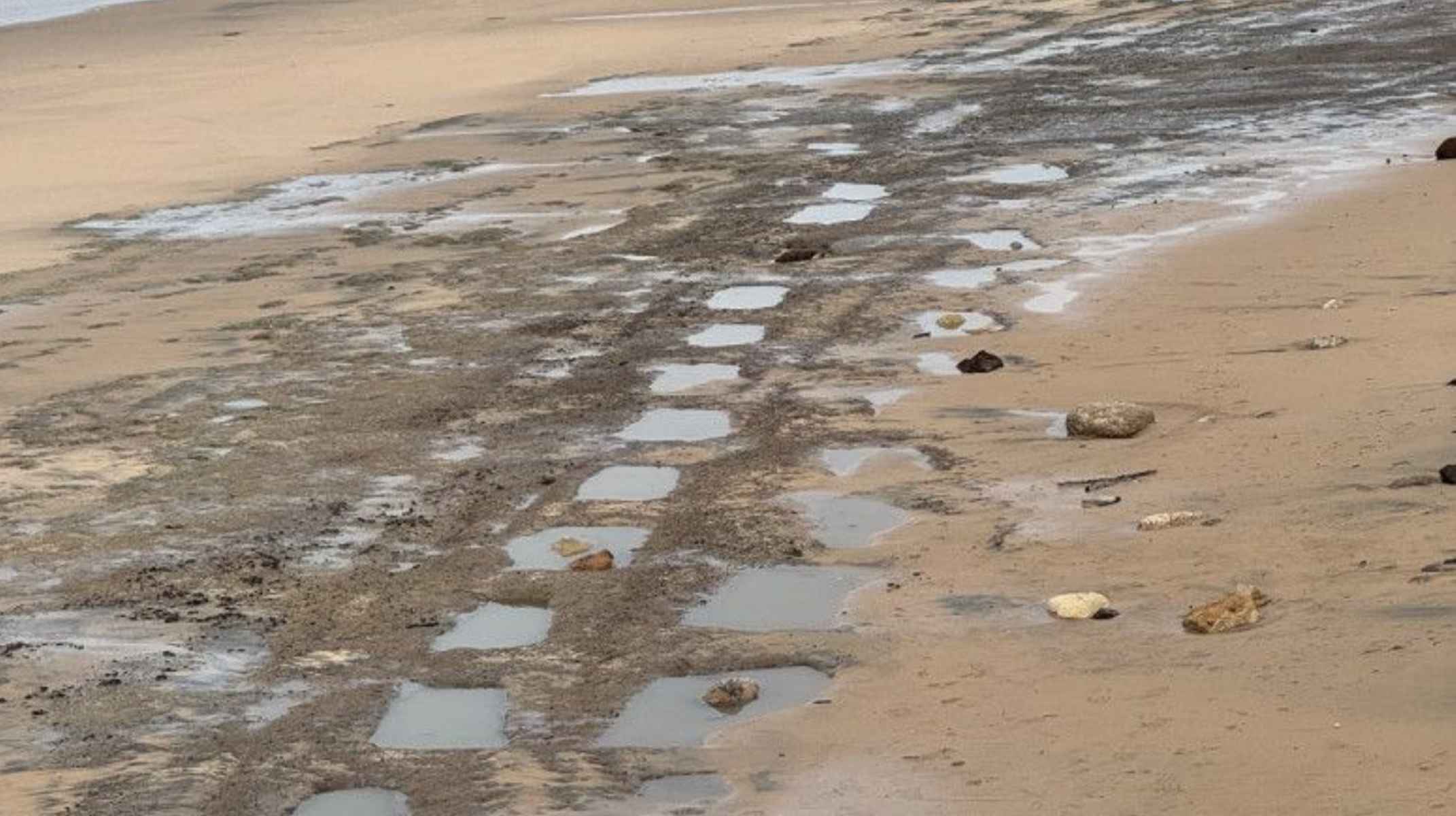 Las estructuras rectangulares aparecidas en la playa de Punta Candor. Las estructuras rectangulares aparecidas en la playa de Punta Candor.