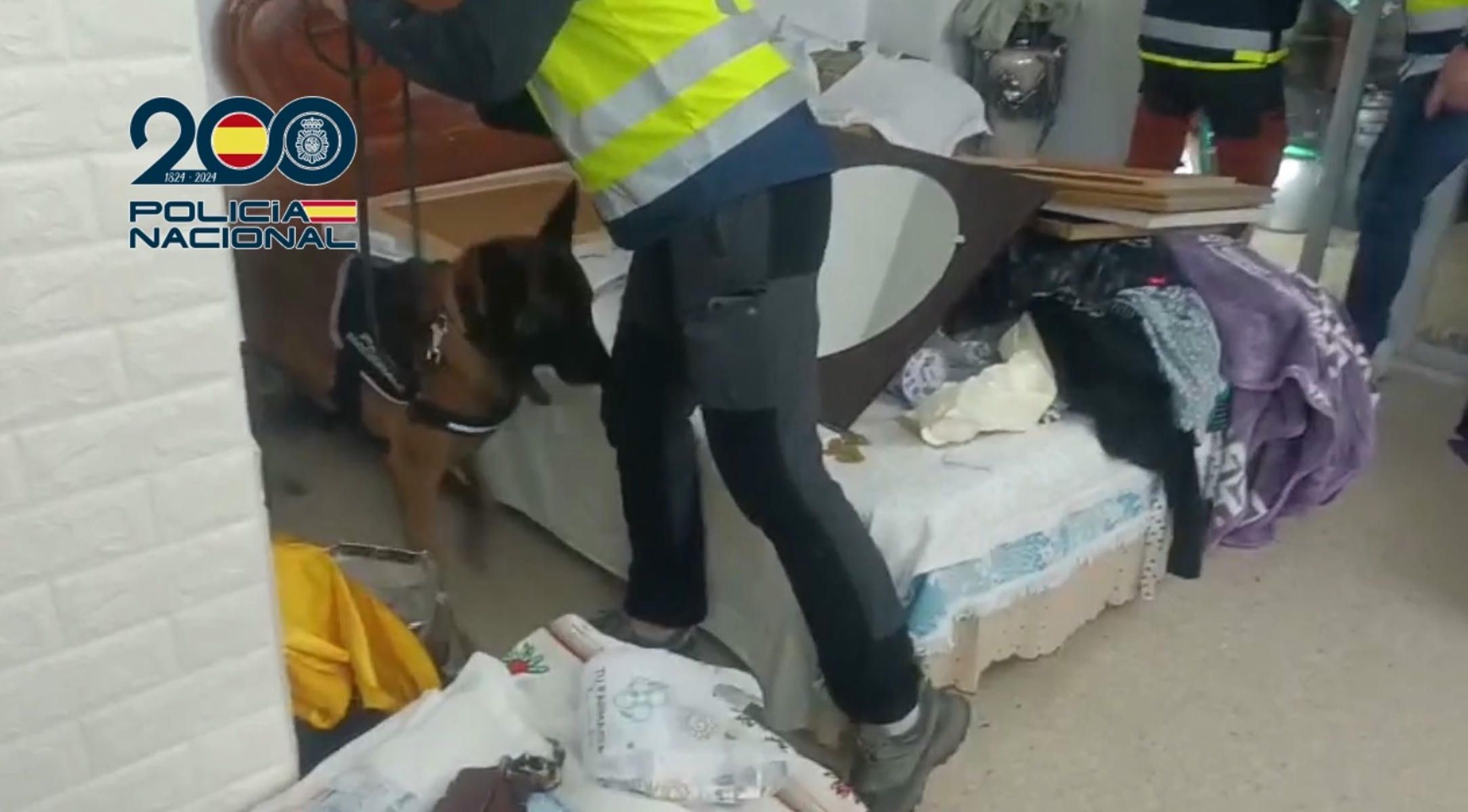 Un momento de la operación policial en Cantillana. Un momento de la operación policial en Cantillana.