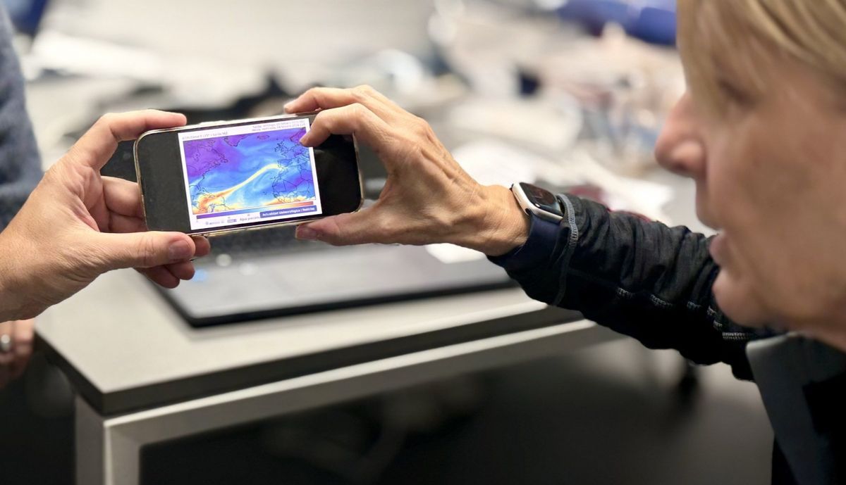 lengua humedad jerez