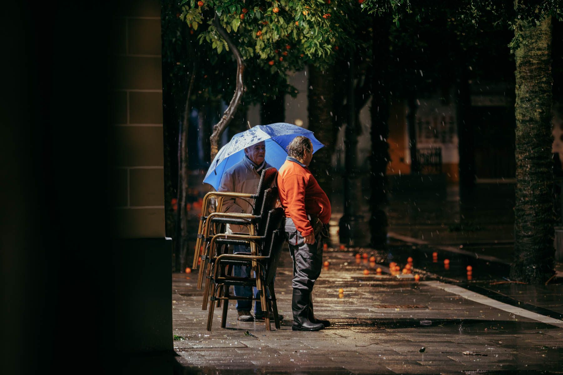 El paso de la borrasca Leonardo en Jerez.