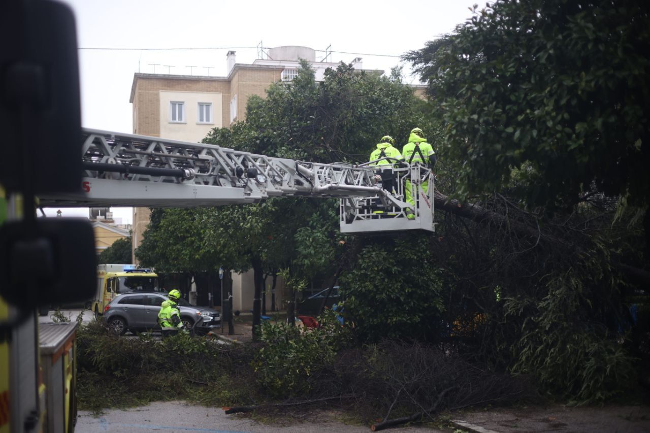 Los efectivos trabajan para garantizar la seguridad de la zona. 