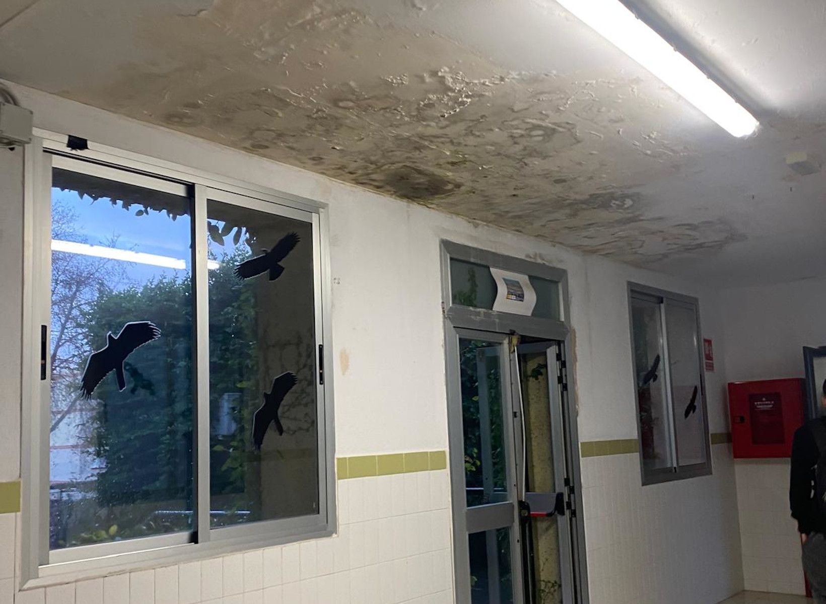 Humedades en el IES Mar de Cádiz en El Puerto.