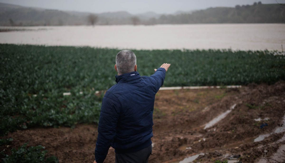 Parte de los terrenos de Antonio están completamente anegados.