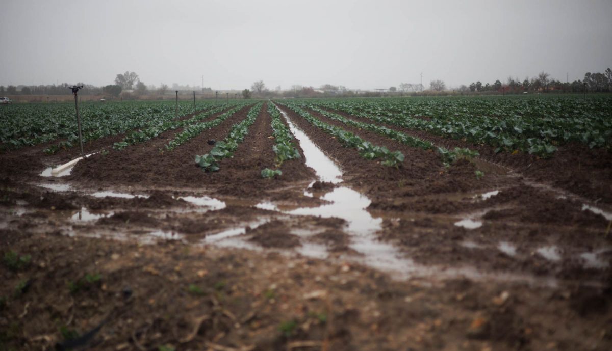 ANTONIO AGRICULTOR BAJO GUADALETE INUNDACIONES 10