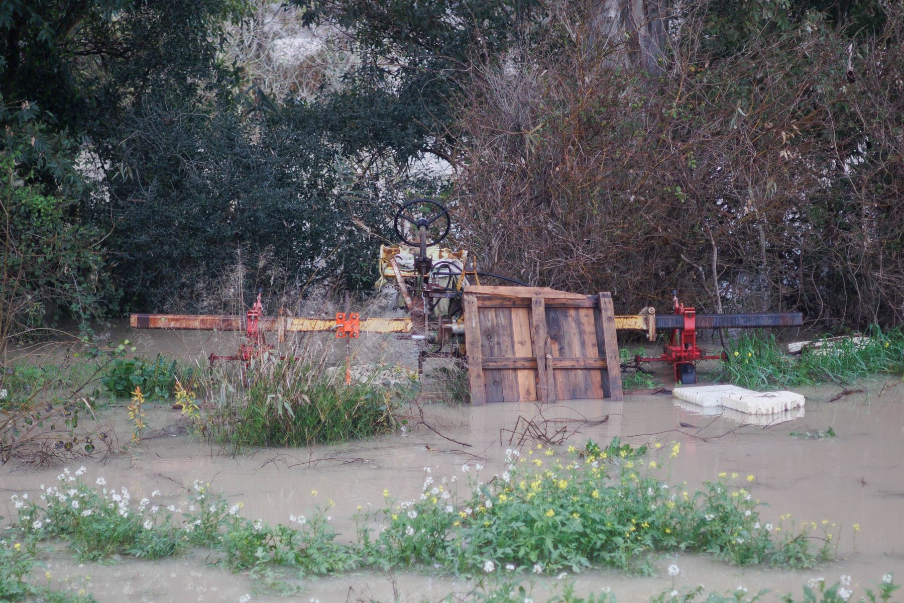 Uno de los cultivos afectados por el temporal en el Jerez Rural.