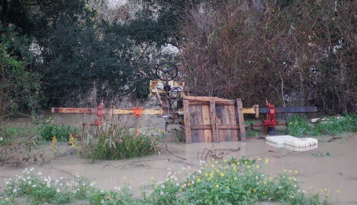 ANTONIO AGRICULTOR BAJO GUADALETE INUNDACIONES 11