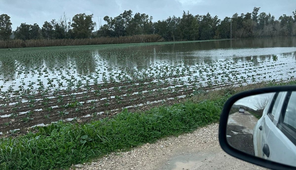 La explotación agraria de Noelia sufre pérdidas.