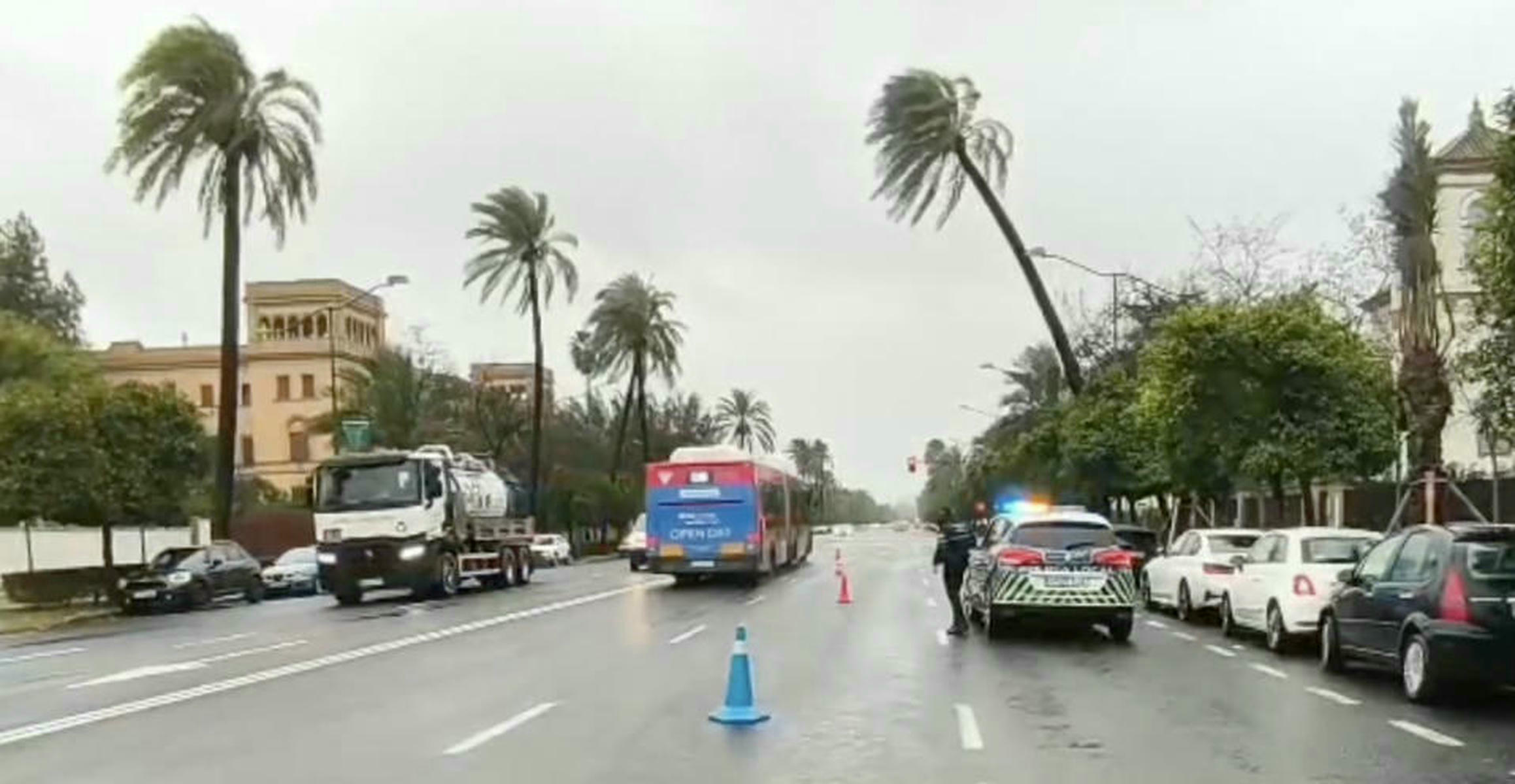 Captura de pantalla 2026 02 04 a las 18.17.28