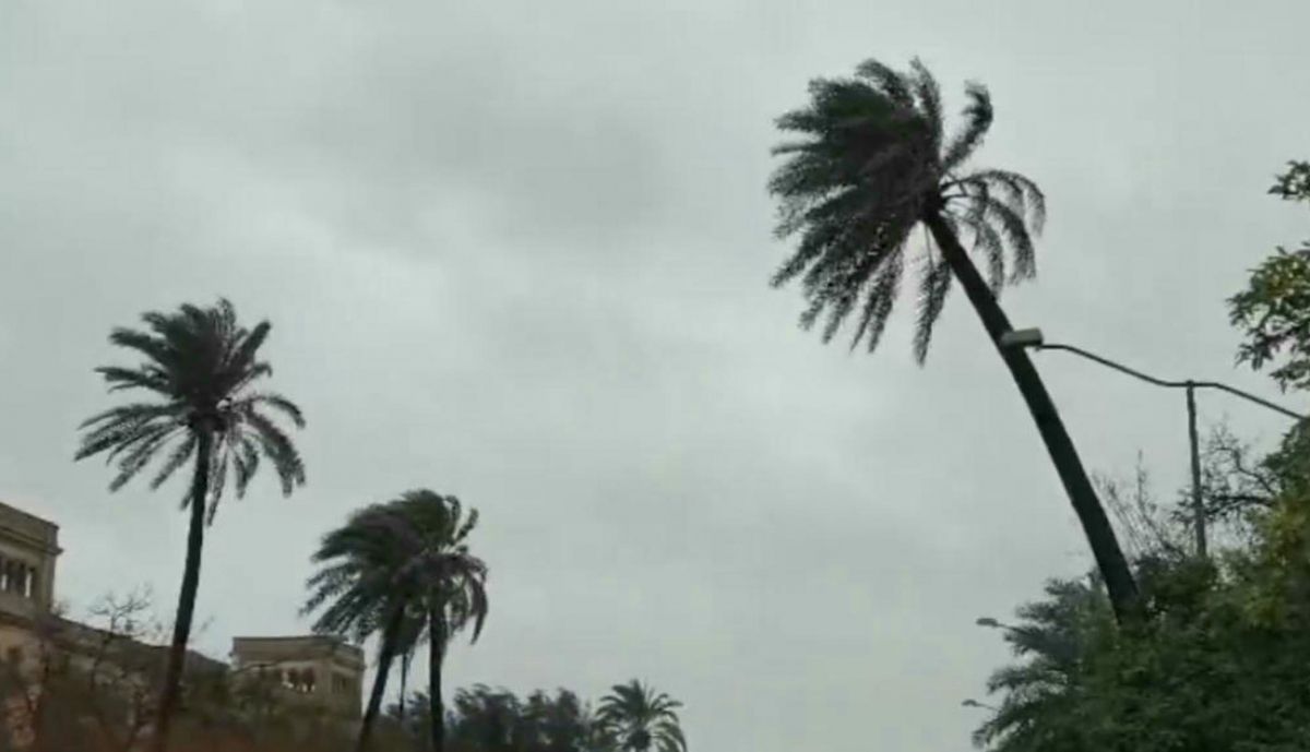 Captura de pantalla 2026 02 04 a las 18.17.28