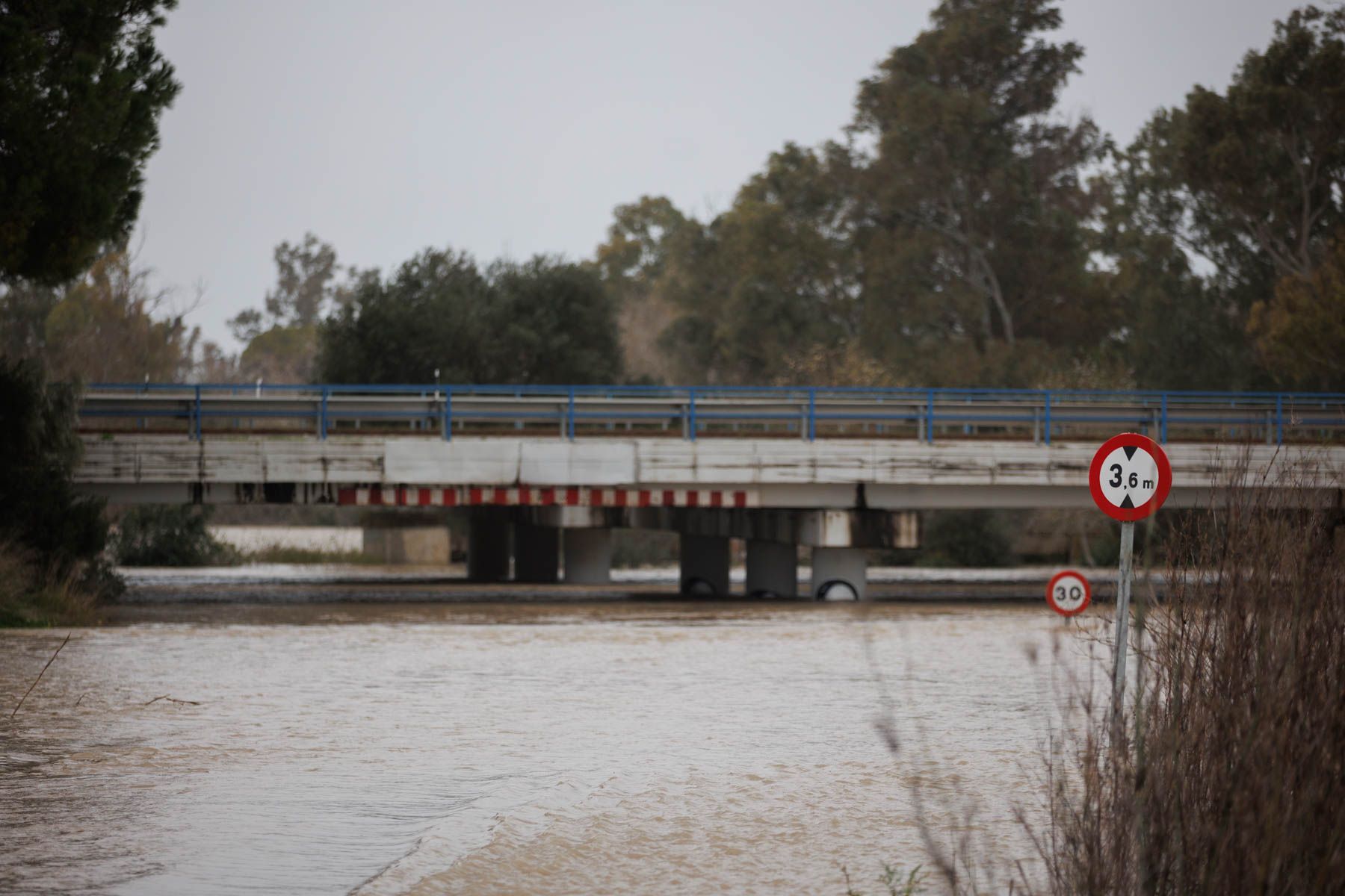 Inundaciones en el Jerez rural por la crecida del Guadalete.