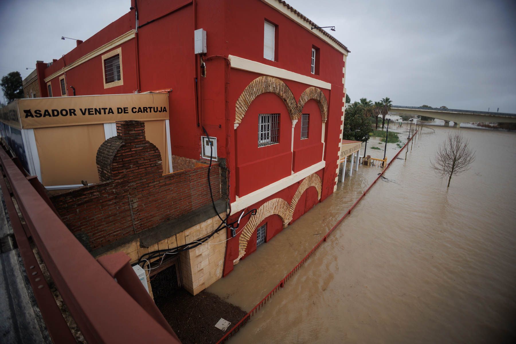 Situación del nivel del Guadalete a su paso por Venta La Cartuja, en la tarde de este pasado miércoles.