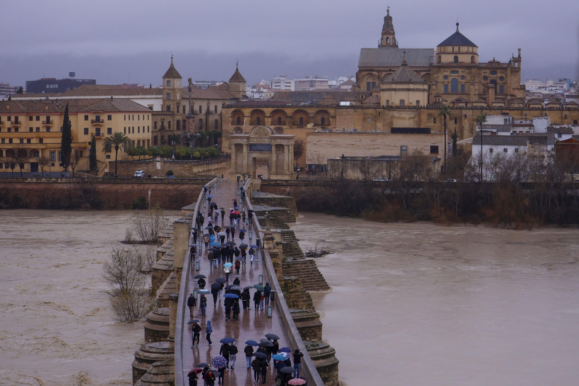 Situación del Guadalquivir a su paso por Córdoba en las últimas horas.