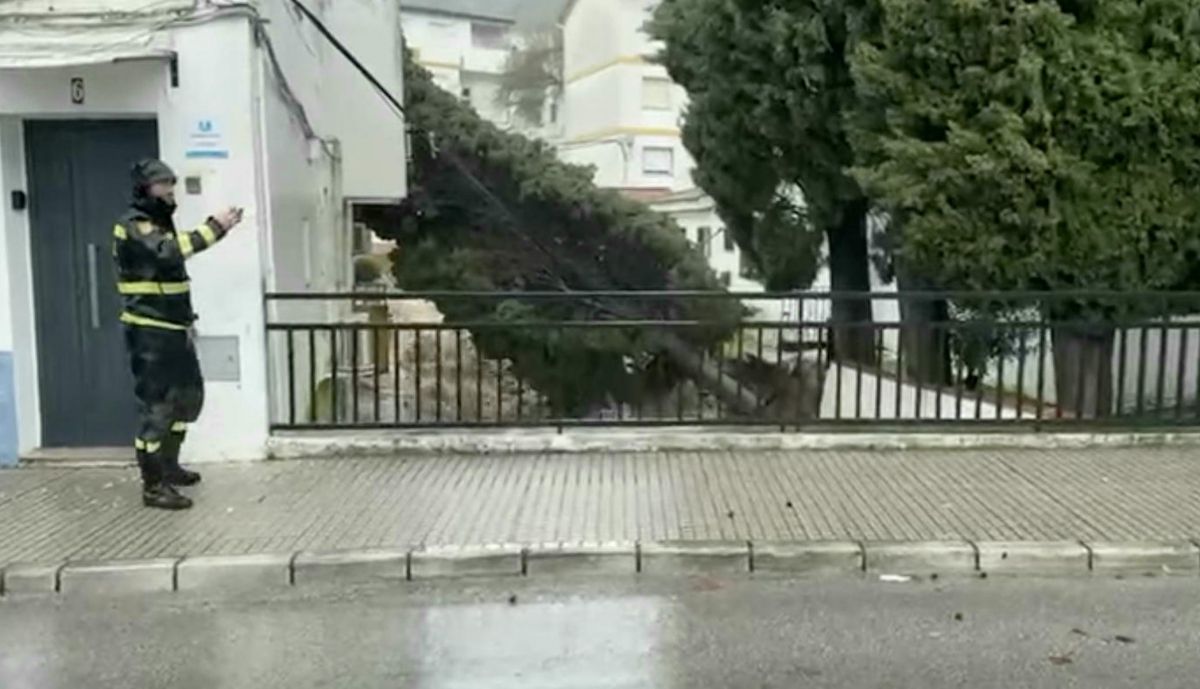 Captura de pantalla 2026 02 05 a las 16.21.10