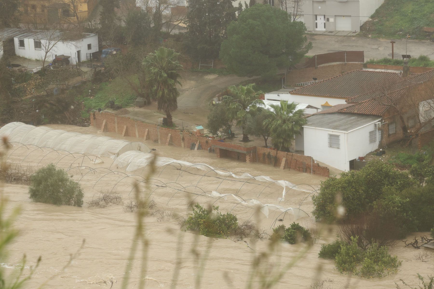 Arcos  desalojos temporal Leonardo  31