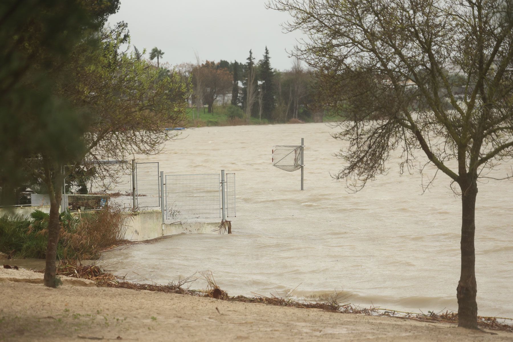 Arcos  desalojos temporal Leonardo  24