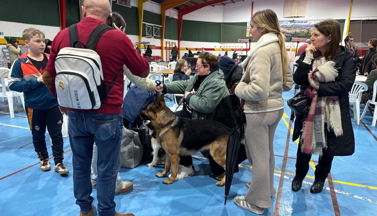 realojo vecinos grazalema ronda 4