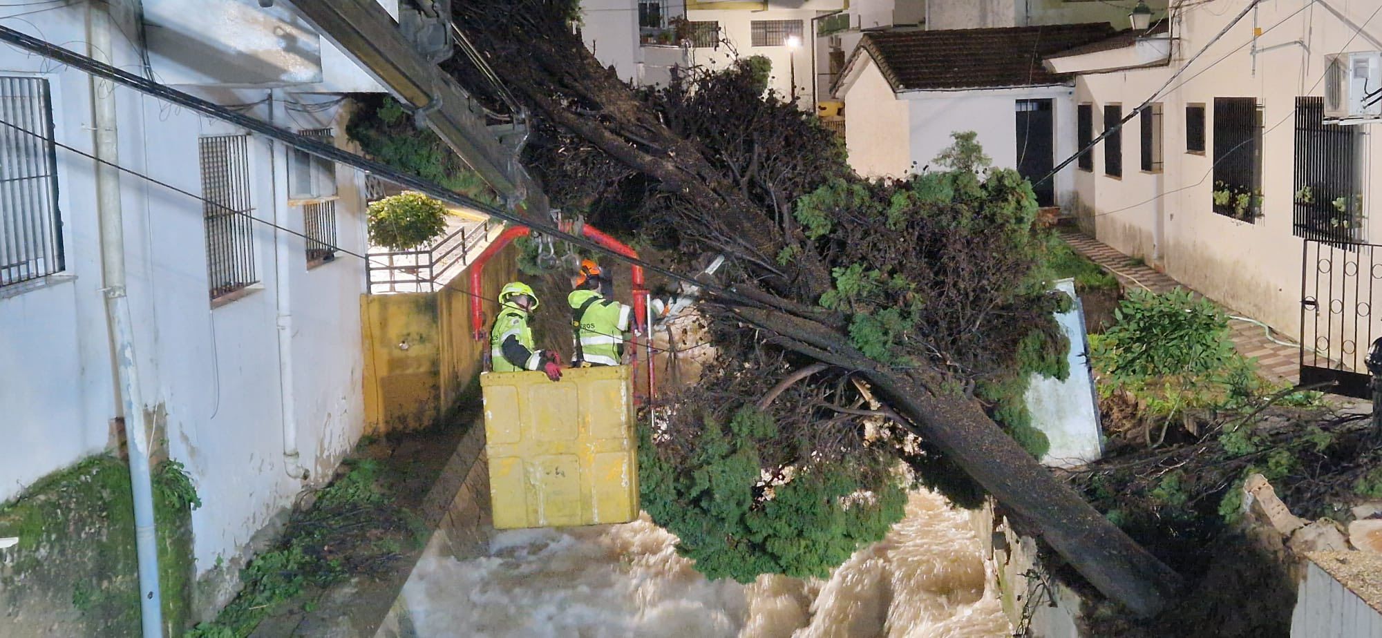 Bomberos retiran el ciprés caído sobre el río Ubrique.