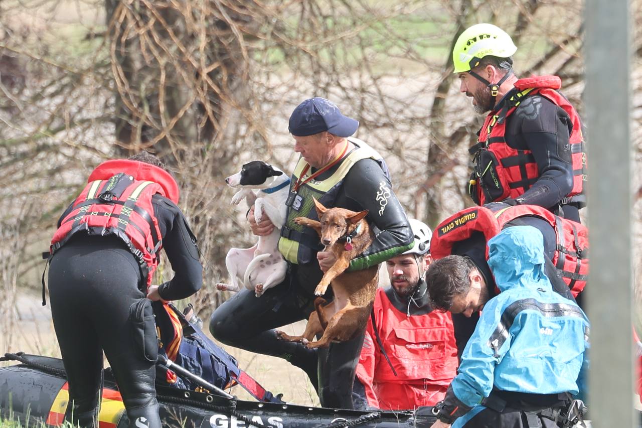 El sueco Lars Walker, con sus mascotas, tras ser rescatado después de cruzar el Guadalete a nado.