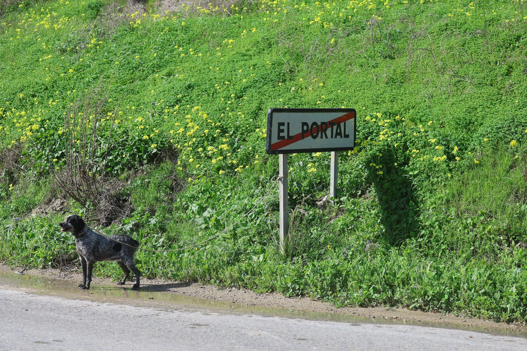 Inundaciones del Guadalete en El Portal.