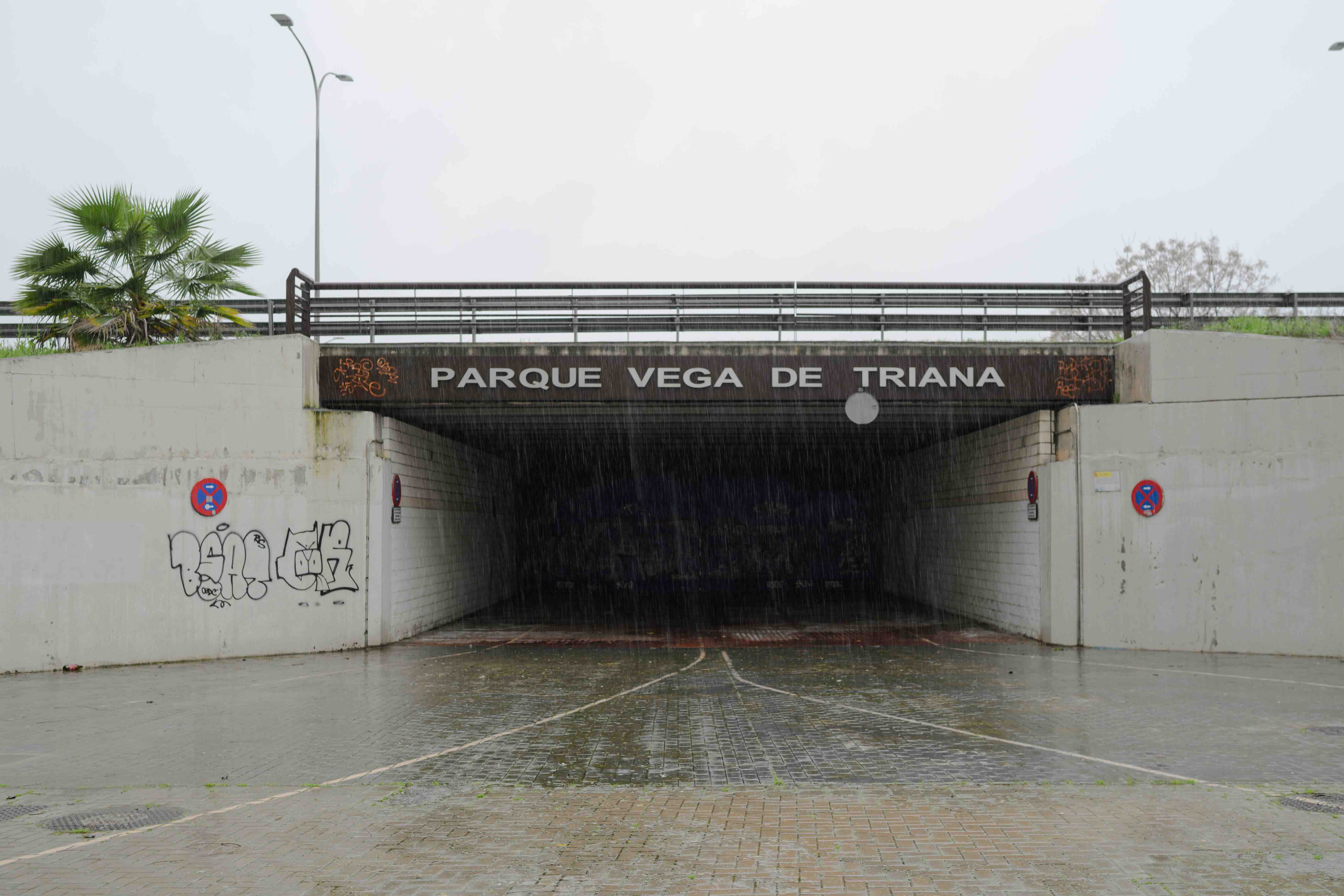 Muro de Defensa en la conocida como Vega de Triana, este sábado por la mañana.