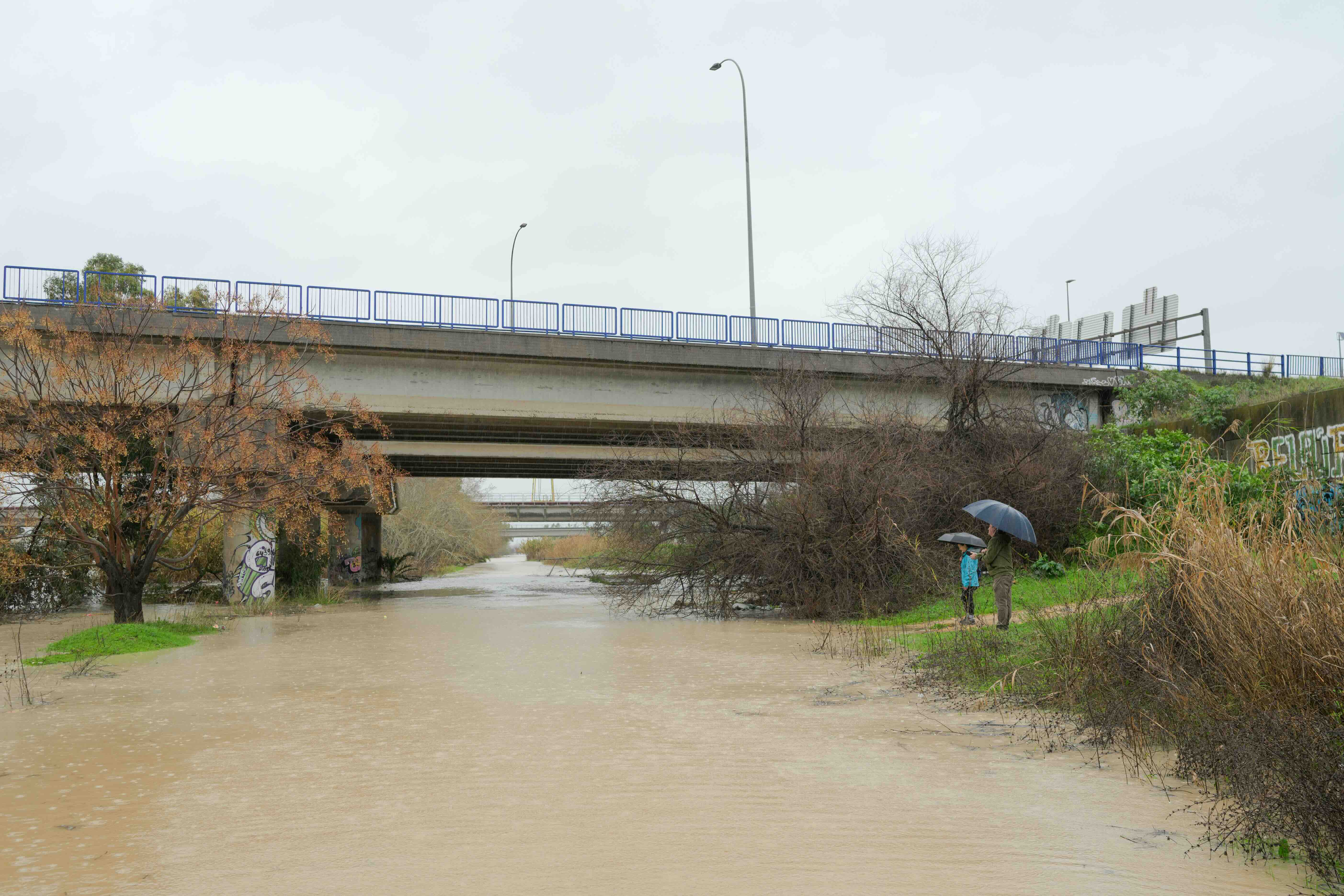 El Guadalquivir llega a zonas inundables como la conocida como Vega de Triana, este sábado a mediodía, en Sevilla.