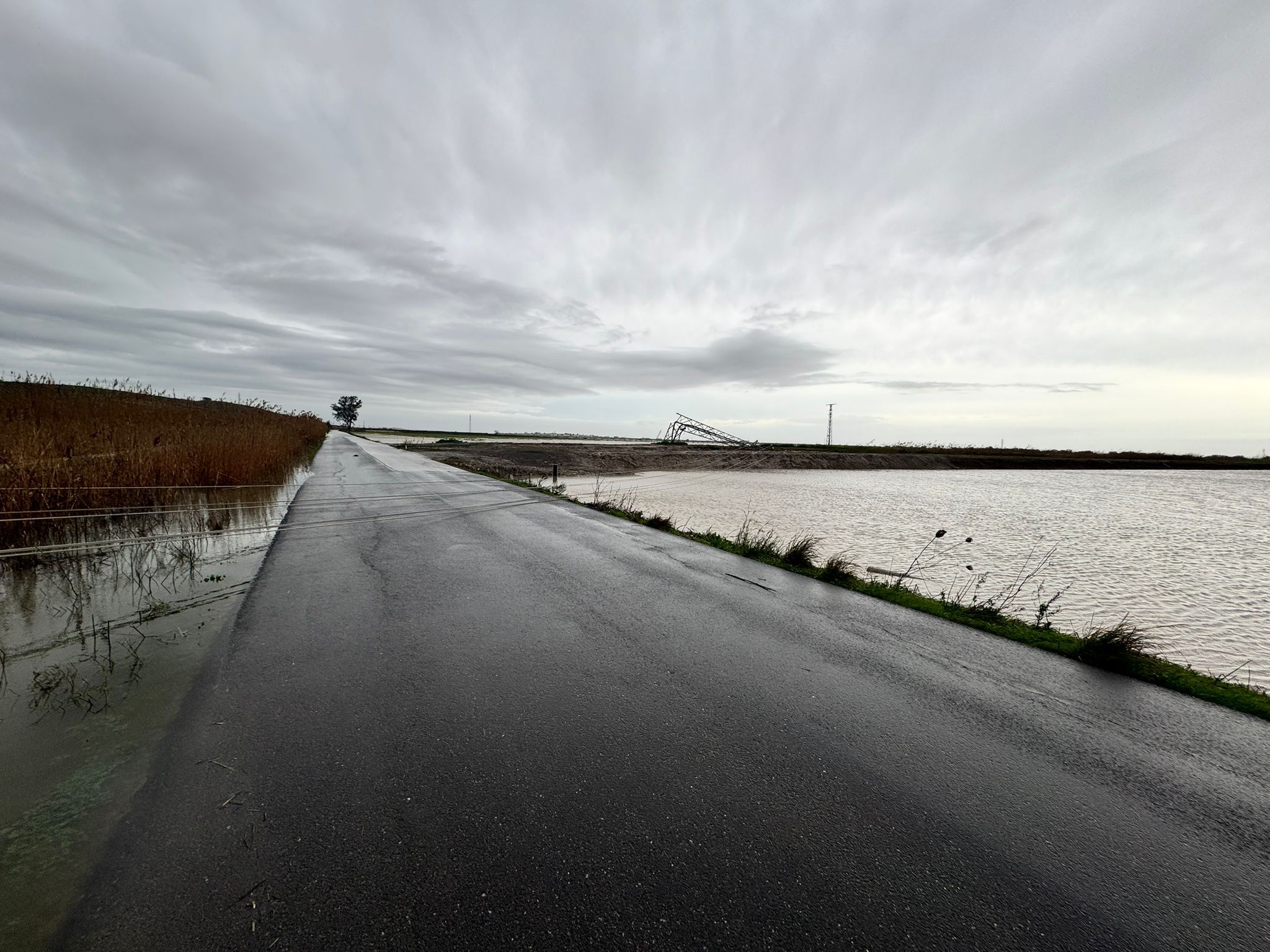 Carretera hacia Marismillas, en Las Cabezas de San Juan, desde la que se ve una de las torretas de alta tensión derribada por el viento.