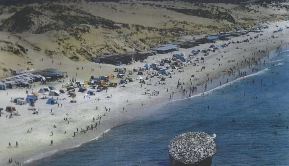 WhatsApp Image 2026 01 28 at 20.14.45