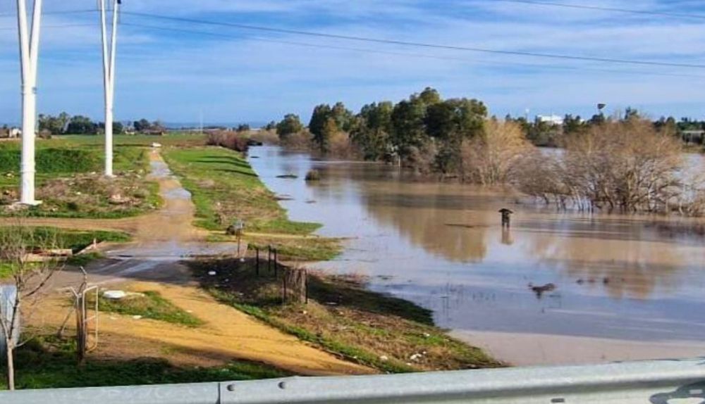 La crecida del Guadalquivir en Sevilla deja zonas ribereñas anegadas en municipios como Camas.