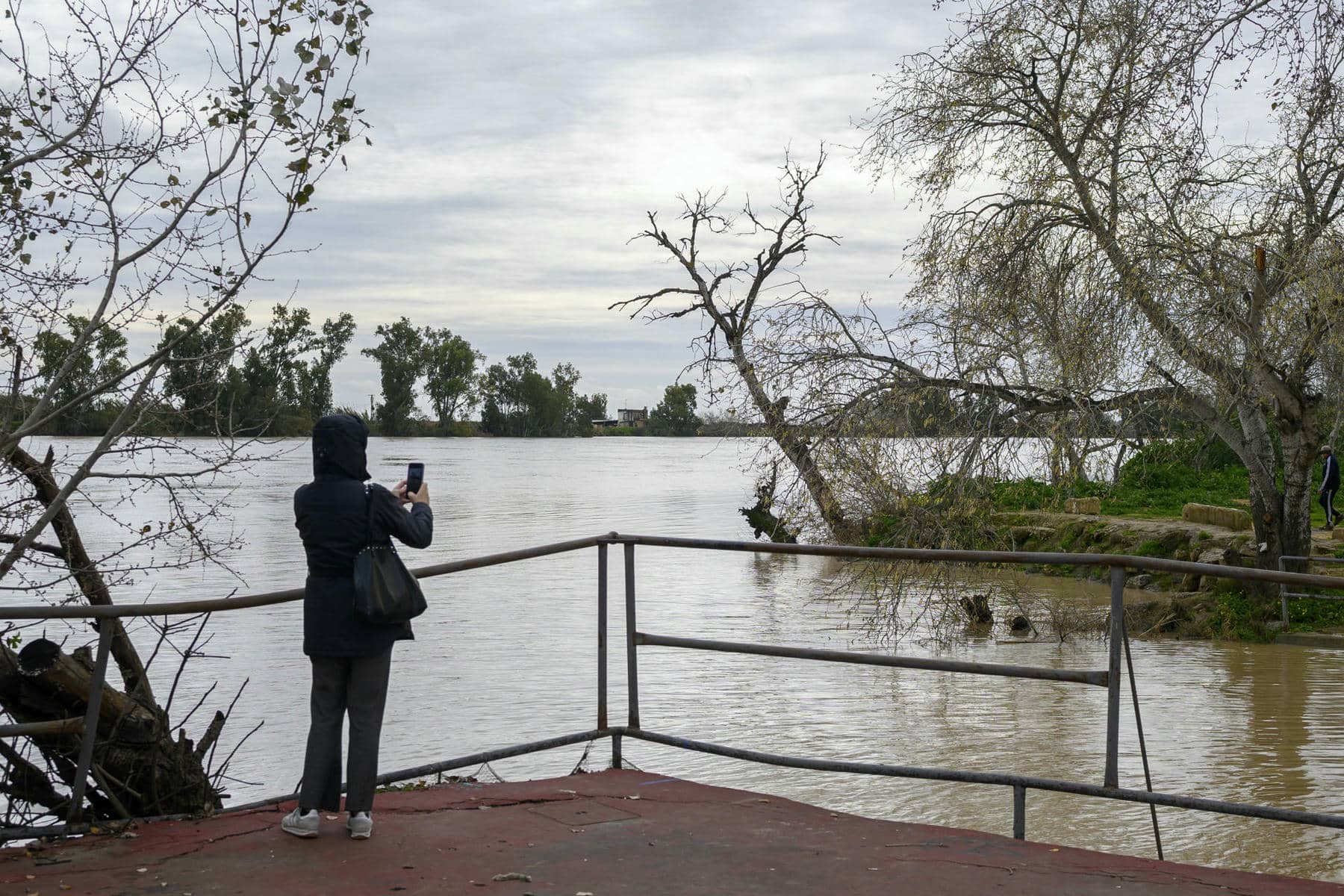 El río Guadalquivir a su paso por la localidad de Coria del Río (Sevilla) este domingo