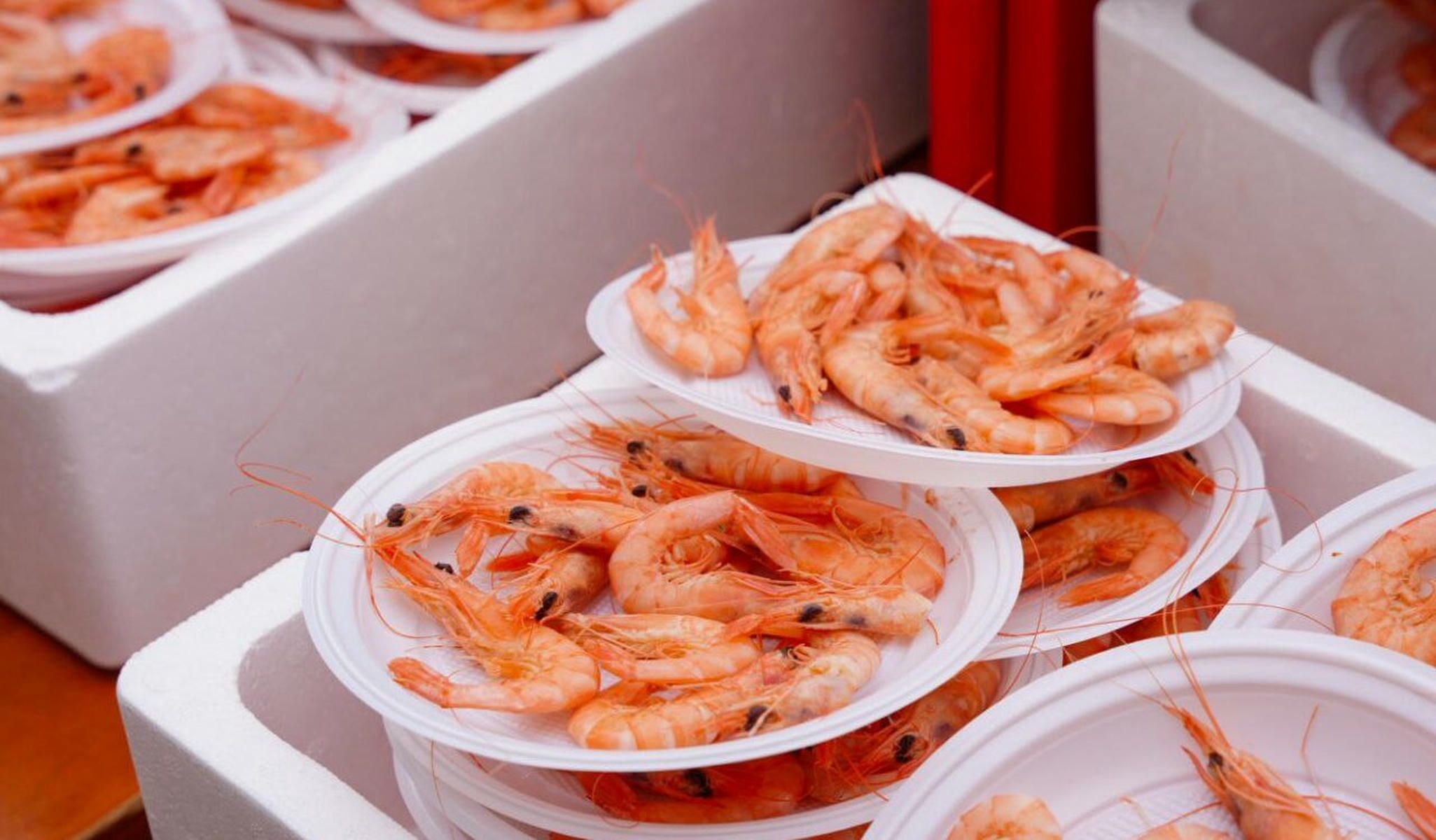 XXV edición de la Gambada Solidaria en Cádiz organizada por la Peña Carnavalesca «La Tertulia de Doña Frasquita»