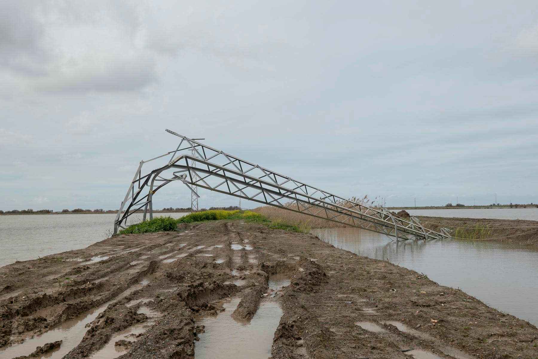 Una torre eléctrica de la Línea de Alta Tensión Palacios Fontanal Lebrija, derribada por completo por el temporal.