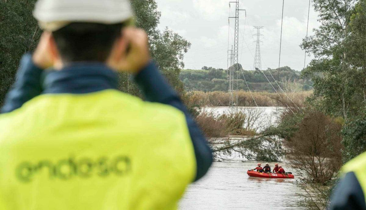 Efectivos de la UME, colaborando con trabajadores de Endesa.