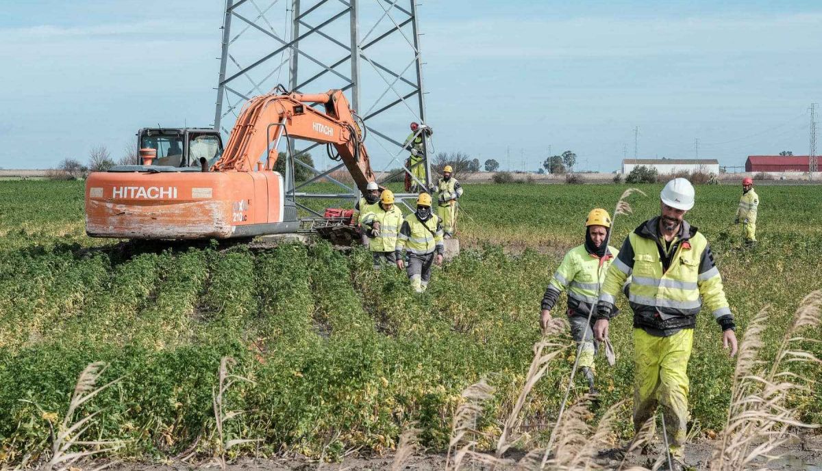 El retén de trabajadores de Endesa, trabajando en el término municipal de Las Cabezas.