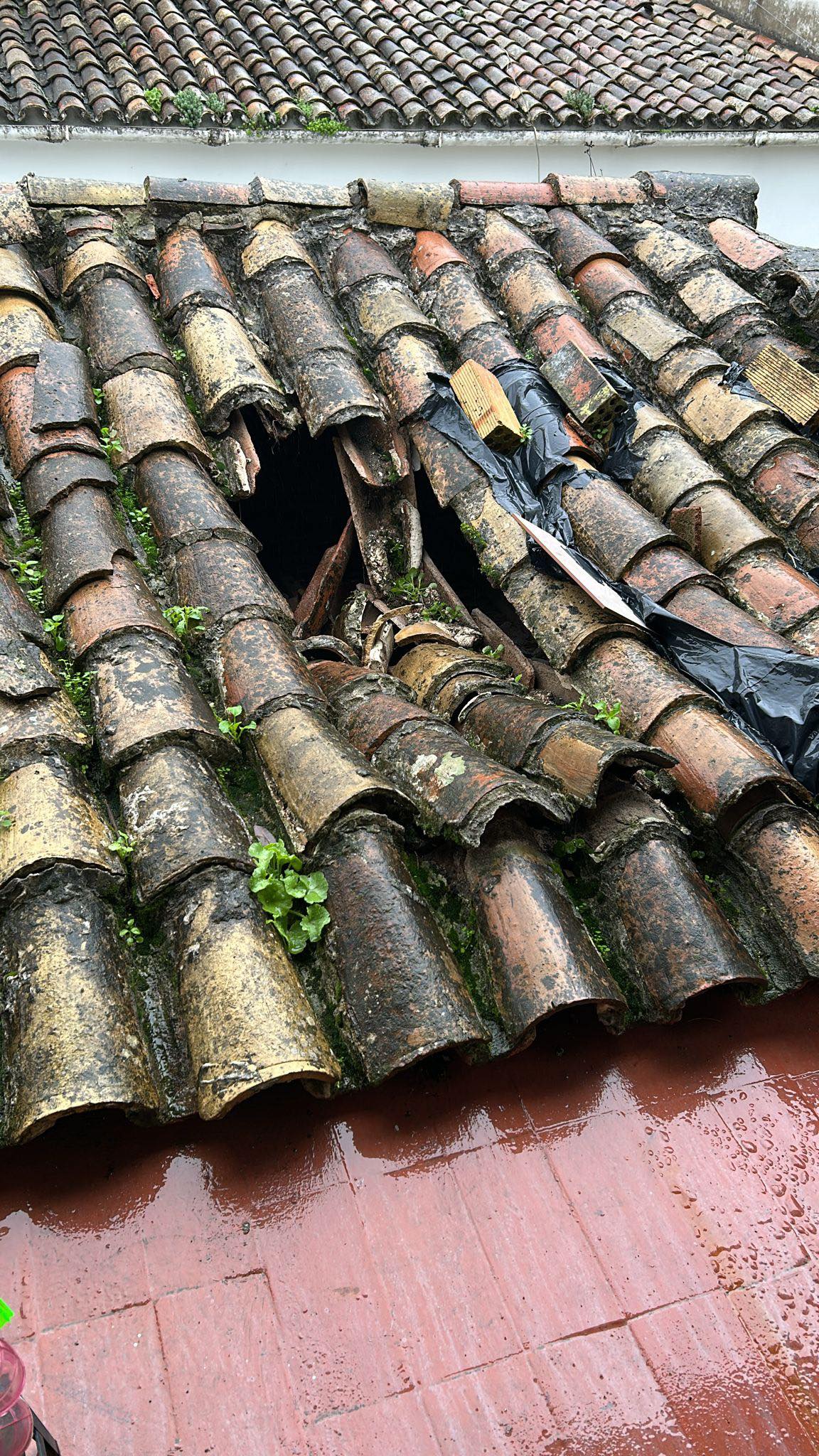 Restos de un tejado en la vivienda que preocupa.