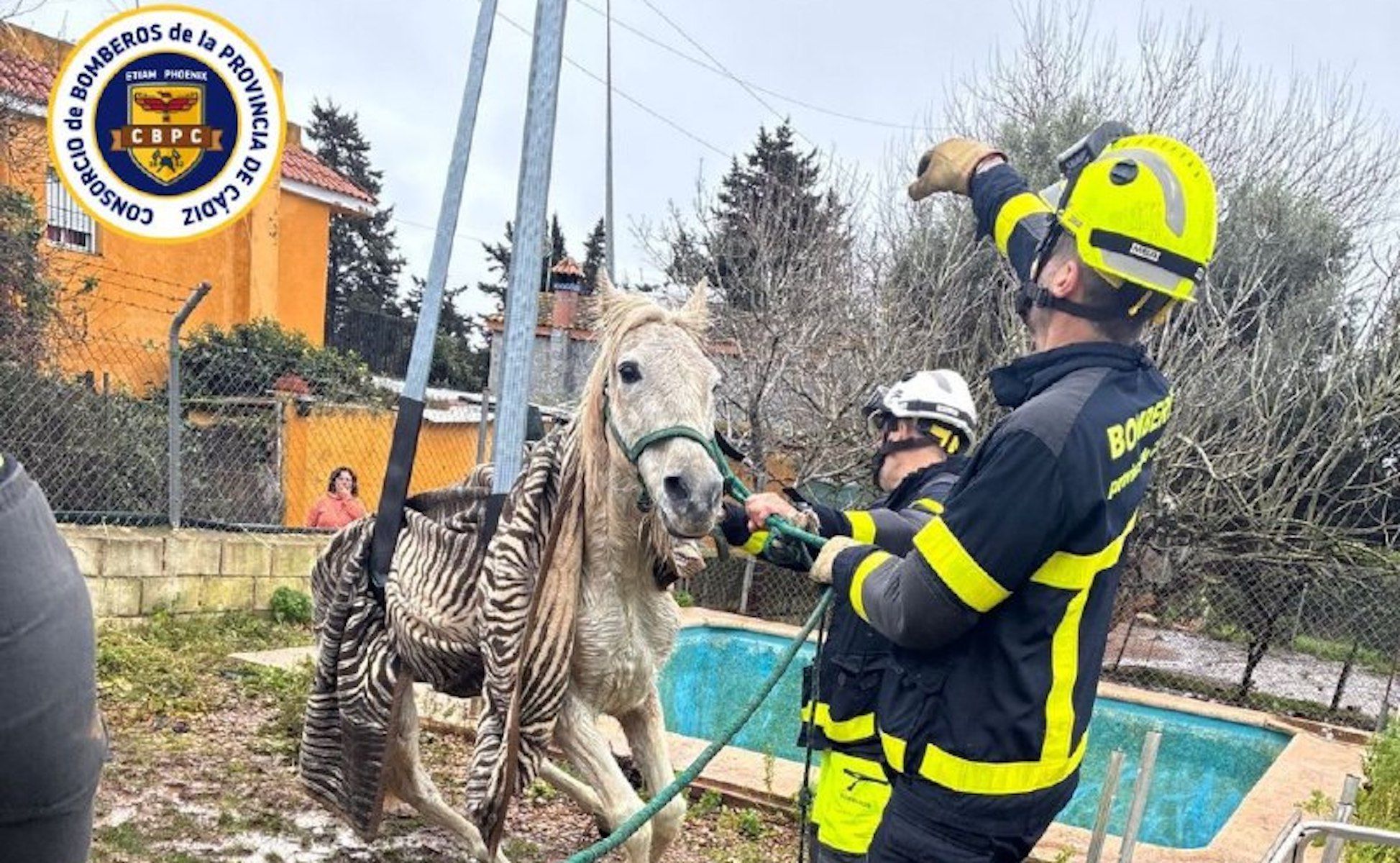 Los bomberos de El Puerto y Jerez rescatan a un caballo caído en una piscina.