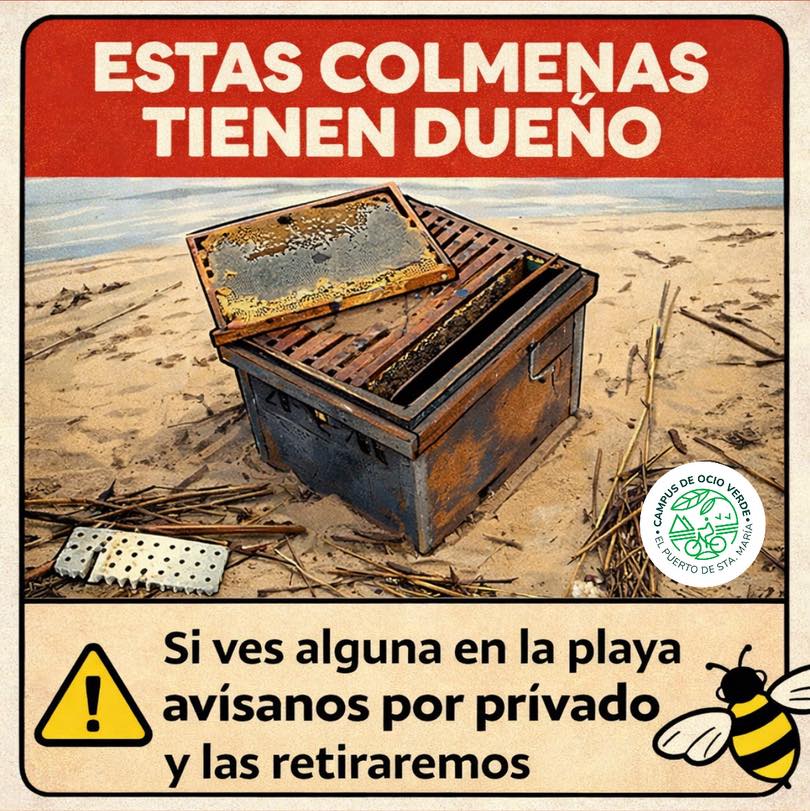 Colmenas perdidas en El Puerto.