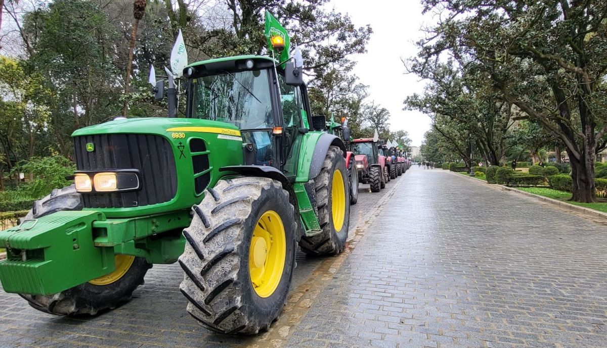 WhatsApp Image 2026 02 10 at 10.51.28