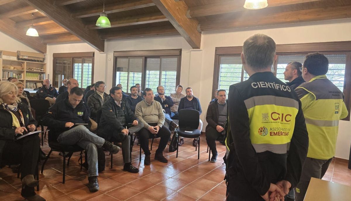 WhatsApp Image 2026 02 12 at 18.44.05