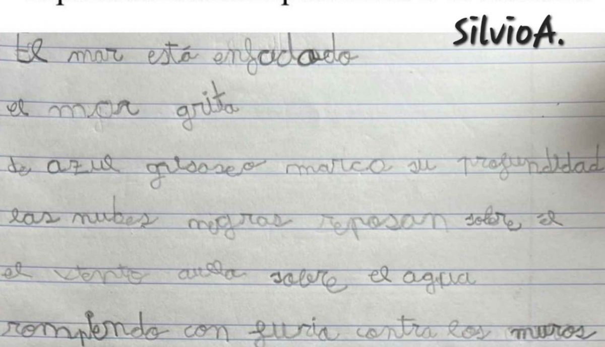 La poesía escrita por Silvio, hijo de Juan Carlos Aragón.