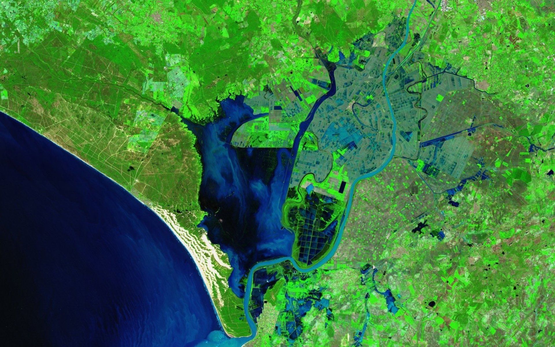 La espectacular imagen de la marisma de Doñana.